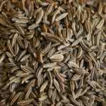 Caraway_Seeds_800x